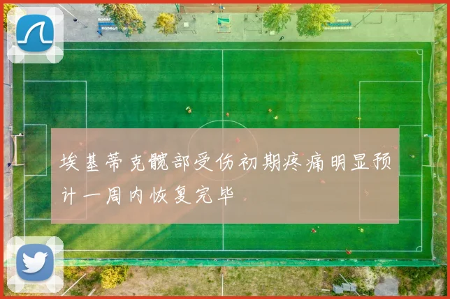 埃基蒂克髋部受伤初期疼痛明显预计一周内恢复完毕