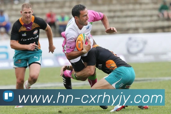 星空平台生态图